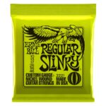 ERNIE BALL 2221 Regular Slinky