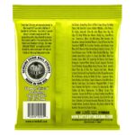Ernie Ball 2221 Nickel Wound Regular Slinky 10-46 - immagine 2