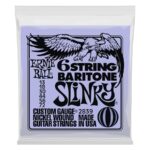 ERNIE BALL 2839 Nickel Wound