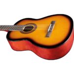 Eko CS-10 Sunburst - immagine 6