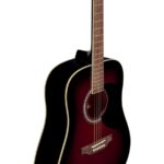 Eko Ranger 6 Red Sunburst - immagine 3