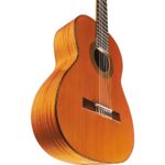 Eko Vibra 300 - immagine 7