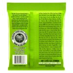 Ernie Ball 2836 Nickel Wound 5 corde Regular Slinky 45-130 - immagine 2