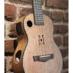 Oqan QUK-ARAWAK CONCERT ELETTRIFICATO - immagine 2
