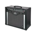 Peavey ENVOY 110