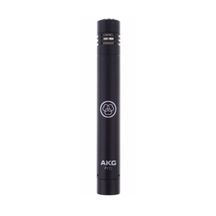 akg-p170.jpg