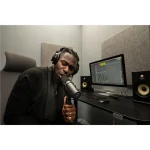 Shure SM7dB - immagine 6