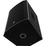 Electro Voice EKX-15P - immagine 3
