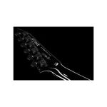 LTD SD-2 Black - immagine 11