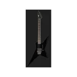 LTD SD-2 Black - immagine 3