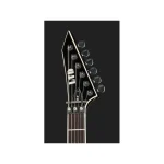 LTD SD-2 Black - immagine 6