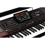 Korg PA1000 - immagine 4