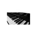Korg Pa5X ORIENTAL-61 - immagine 3