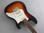 FGN Expert Odyssey EOS2-AL-R Vintage Sunburst - immagine 3