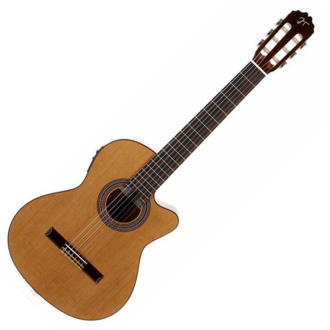 Jose Torres JTC-15CE