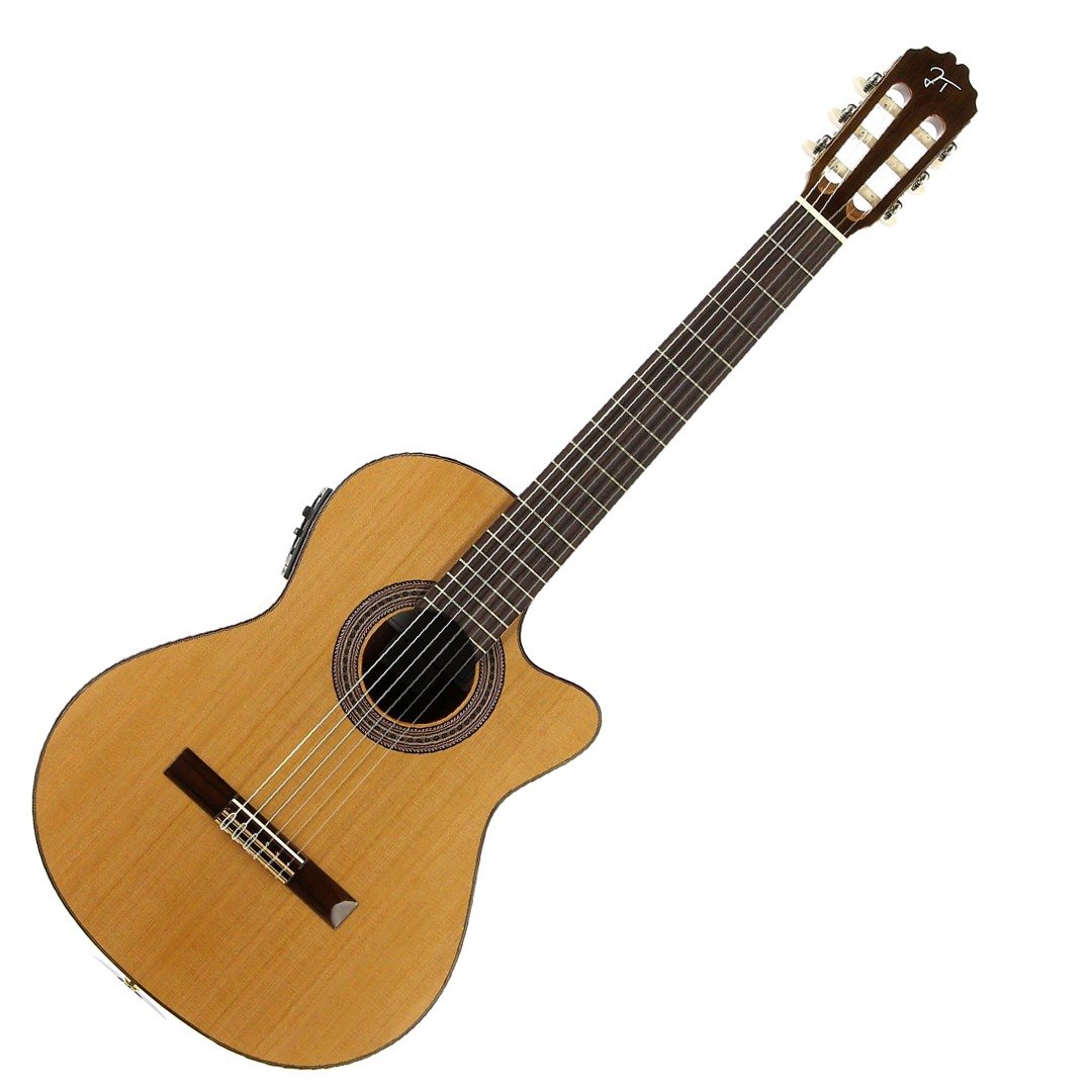 Jose Torres JTC-20CE